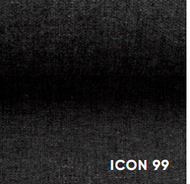 Icon99