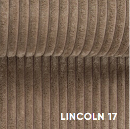 Lincoln17