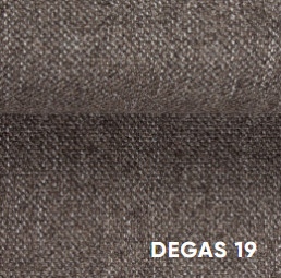 Degas19
